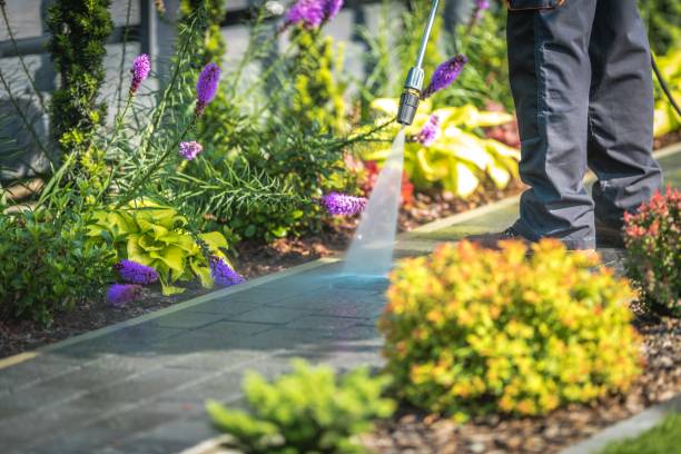 Best House Exterior Washing  in Vassar, MI