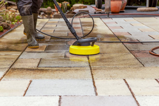 Best Dumpster Area Cleaning  in Vassar, MI