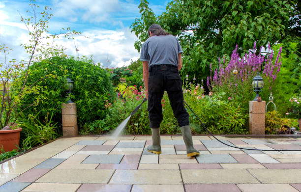 Best Animal Enclosure Cleaning  in Vassar, MI