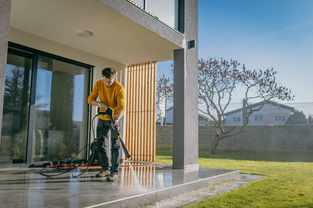 Best Roof Washing  in Vassar, MI